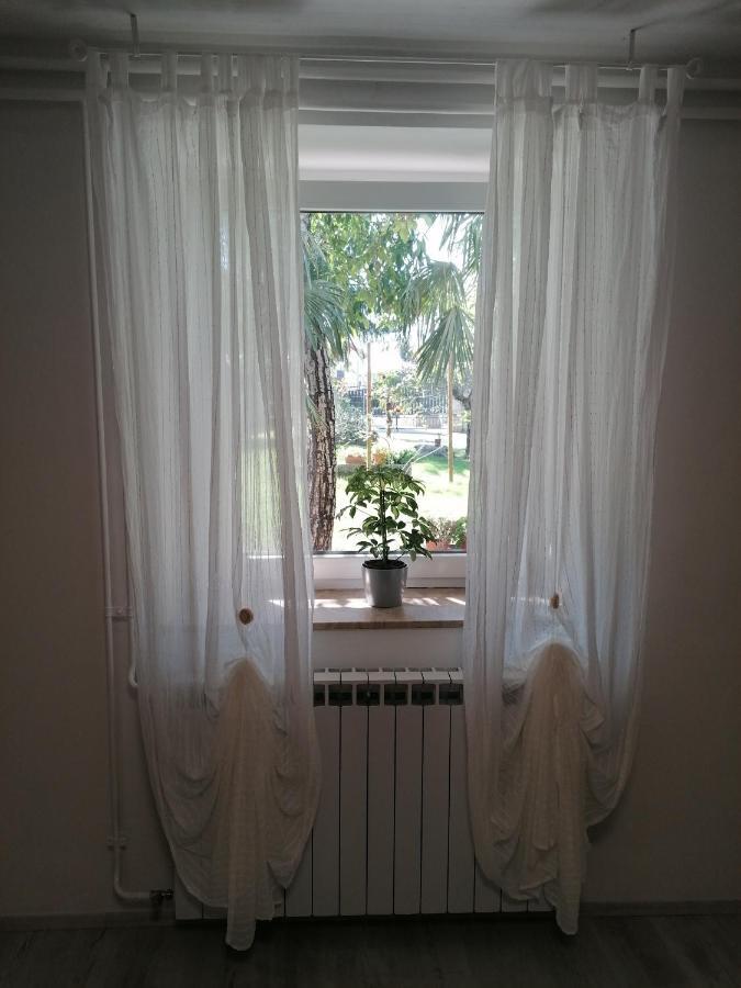 Domacija Mirko Bed & Breakfast Miren Exterior photo
