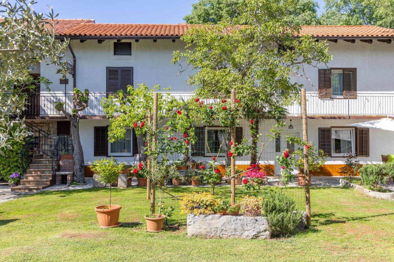 Domacija Mirko Bed & Breakfast Miren Exterior photo