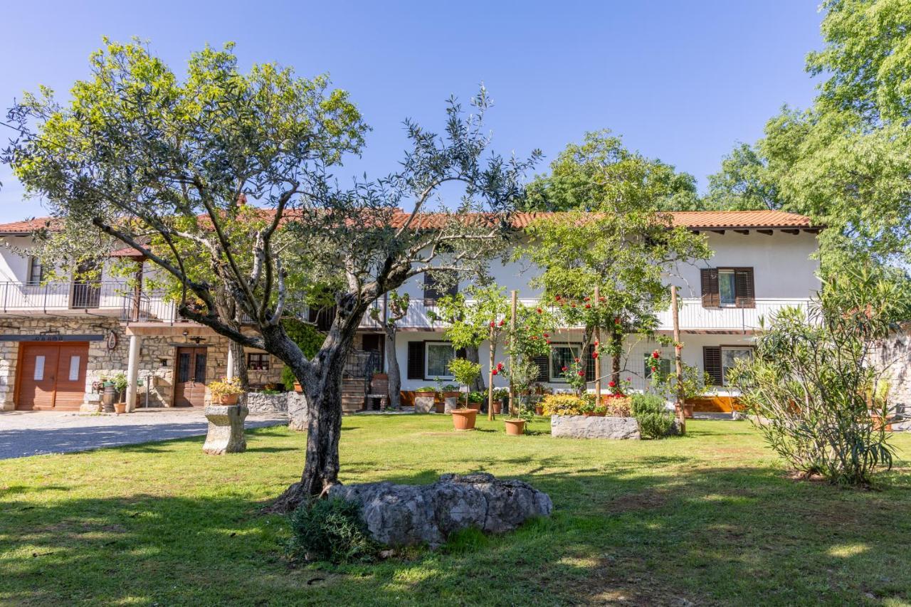 Domacija Mirko Bed & Breakfast Miren Exterior photo